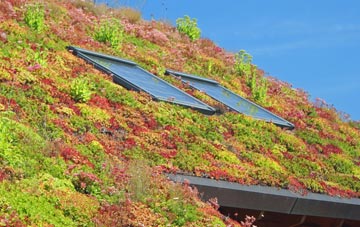 Loddington living roof systems